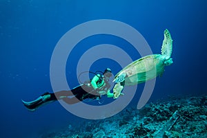 Diver and green sea turtle in Derawan, Kalimantan, Indonesia underwater photo