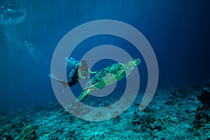 Diver and green sea turtle in Derawan, Kalimantan, Indonesia underwater photo