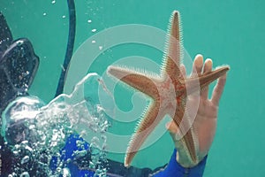 Diver holds starfish