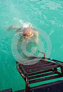 Diver immerses in water