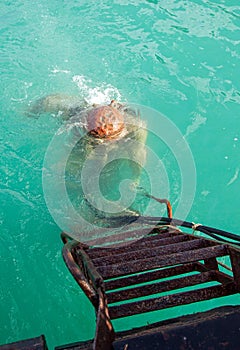 Diver immerses in water photo