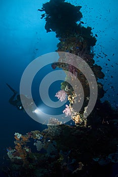 Diver with Light on Forward Mast