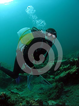 Diver looking for Lobster