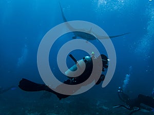 Diver with a manta ray