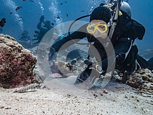 The diver muddies the sand at the bottom at the Indian ocean attracting small fish that feed on bottom invertibrates