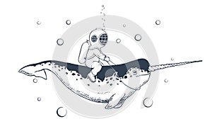 Diver and narwhal swims together
