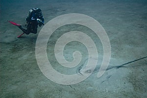 This diver from NOAA Monitor National Marine Sanctuary