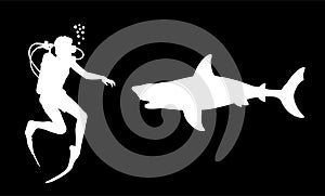 Diver observing a great white shark vector silhouette illustration isolated.
