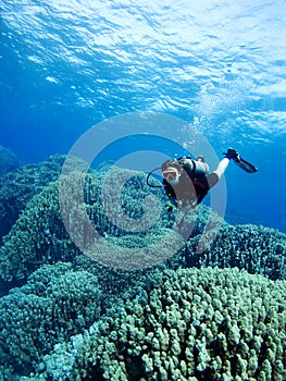 Diver over coral reef