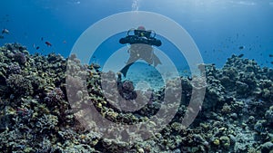 Diver rises to the surface