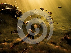 A diver in Royal Springs browned out after flooding from spring thunderstorms, Suwannee County, Florida