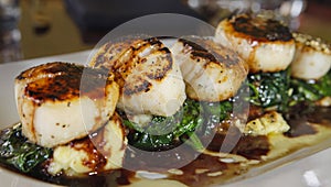 Diver scallops