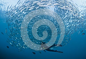 Diver with a school of Jacks