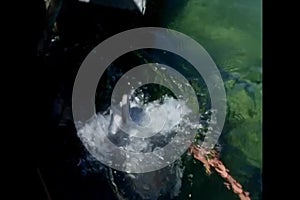 Diver submerging into water