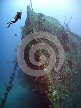 A Diver Surveys a Shipwreck off Utila Island, Honduras