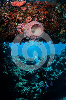 Diver swimming around in Banda, Indonesia underwater photo