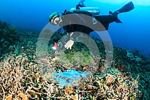 Diver swimming over a discarded plastic bag on a reef