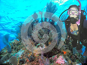 Diver Swims Past a Coral Mound off Cayman Brac photo