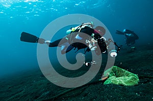Diver take a photo video upon coral lembeh indonesia scuba diving photo