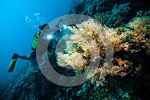 Diver take a video upon coral kapoposang indonesia scuba diving