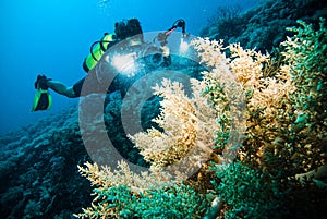 Diver take a video upon coral kapoposang indonesia scuba diving