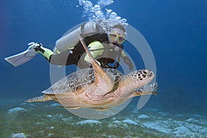 Diver and turtle