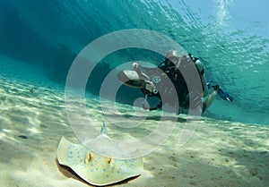 Diver on underwater scooter with sting ray