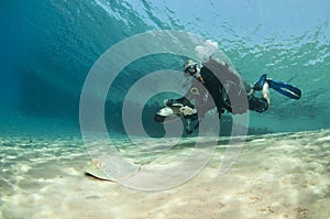 Diver on underwater scooter with sting ray