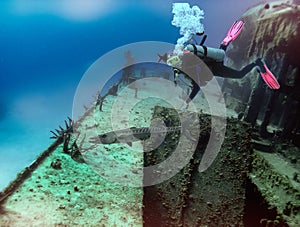 A Diver Watches a Barracuda on a Shipwreck off the Island of Statia