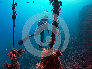 Diver at a wreck