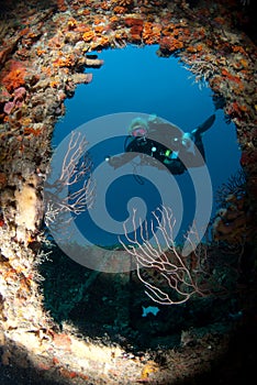 Diver on wreck