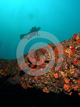 Diver and a Wreck