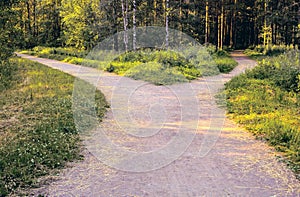 Divergence of paths. A wide alley in the park is divided into two paths leading in different directions photo