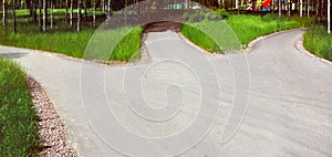 Divergence of paths: a wide asphalt road in the park is divided into three alleys, diverging in different directions photo