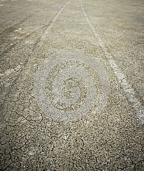 Diverging pattern of four wheel drive tracks in wet yellow sand