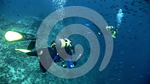 Divers on background of school of fish underwater on seabed in Maldives.