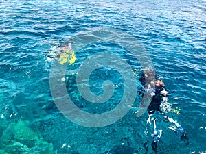 Divers in black diving waterproof suits with shiny metal aluminum canisters float, dive into the blue sea water on vacation, a sea