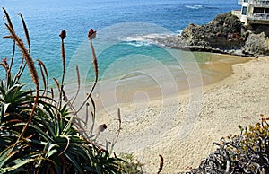 Divers Cove Beach, Laguna Beach, California.