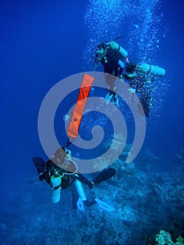 Divers deploying buoy