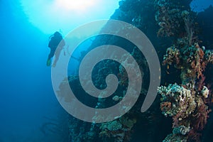 Divers exploring a large shipwreck