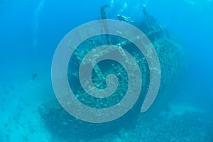 Divers exploring a large shipwreck