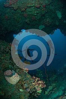 Divers, giant barrel sponge, wire corals in Ambon, Maluku, Indonesia underwater photo