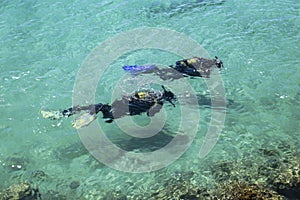 Divers on La Grava Beach on a sunny day photo