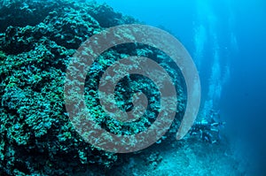 Divers and the meno wall in Gili, Lombok, Nusa Tenggara Barat, Indonesia underwater photo