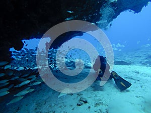 Divers near a wall