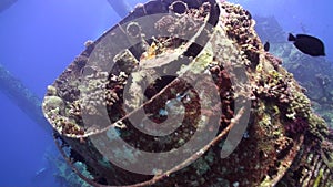 Divers near wreck ship underwater on coral reef Abu Nuhas in Red sea.