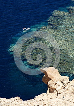 Divers in Red Sea (Sharm-el-Sheik)