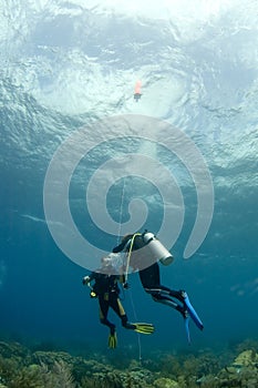 Divers on safetystop on bouy