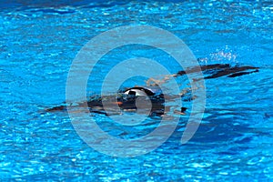 Divers sink in the pool. The teacher teaches the pupil the rules and the lesson of diving.