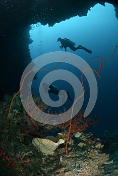 Divers, sponge, wire corals in Ambon, Maluku, Indonesia underwater